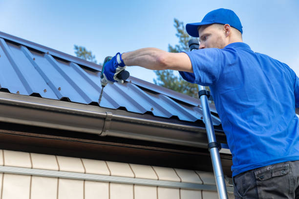 Best Roof Leak Repair  in Century, FL