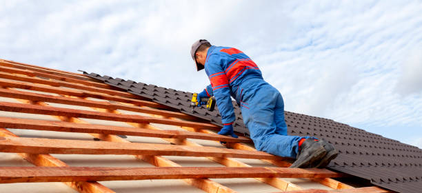 Best Emergency Roof Repair Services  in Century, FL