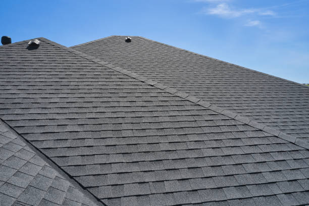Best Sheet Metal Roofing  in Century, FL
