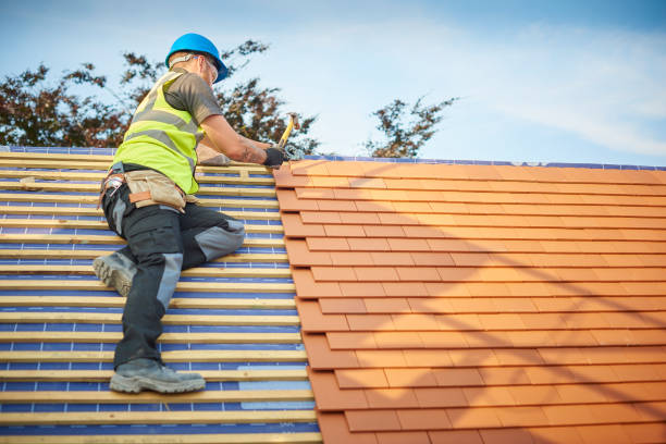 Best Roofing for New Construction  in Century, FL